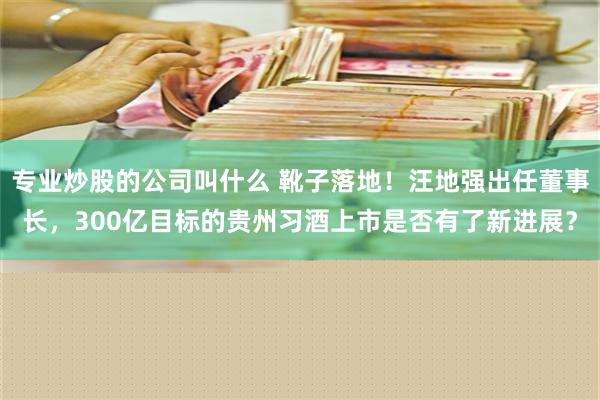 专业炒股的公司叫什么 靴子落地！汪地强出任董事长，300亿目标的贵州习酒上市是否有了新进展？