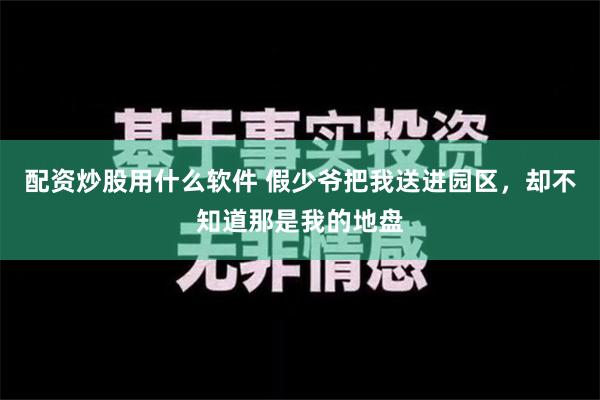 配资炒股用什么软件 假少爷把我送进园区，却不知道那是我的地盘